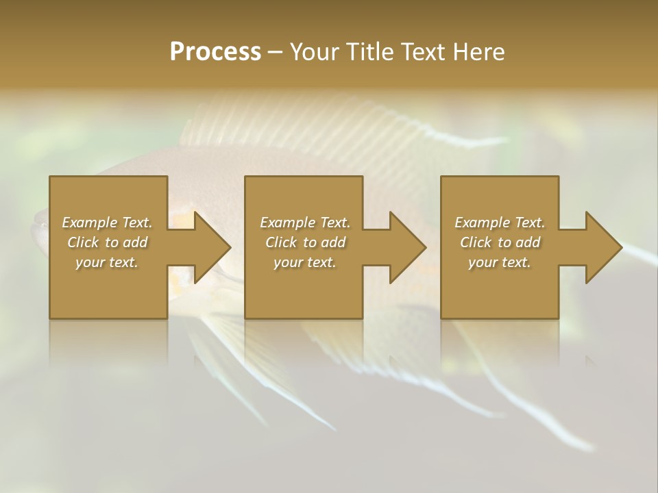 The Exotic Fish In Aquarium, Natural Lighting PowerPoint Template