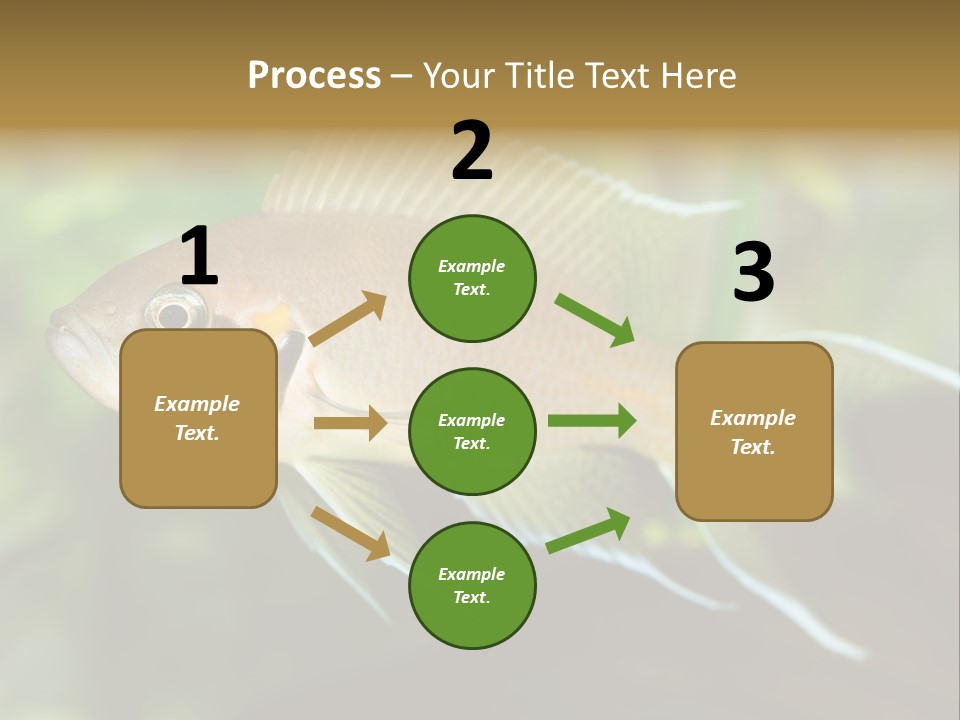 The Exotic Fish In Aquarium, Natural Lighting PowerPoint Template