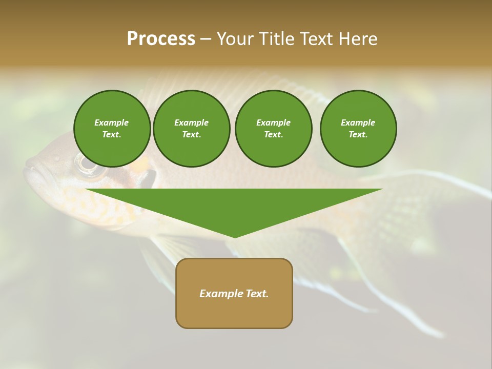 The Exotic Fish In Aquarium, Natural Lighting PowerPoint Template