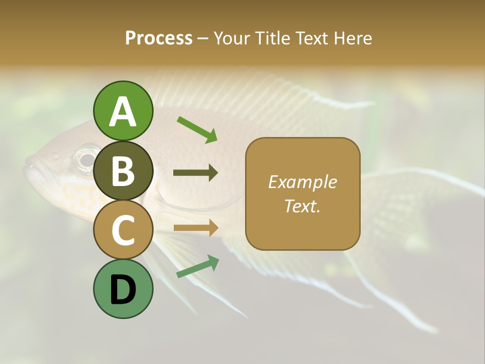 The Exotic Fish In Aquarium, Natural Lighting PowerPoint Template