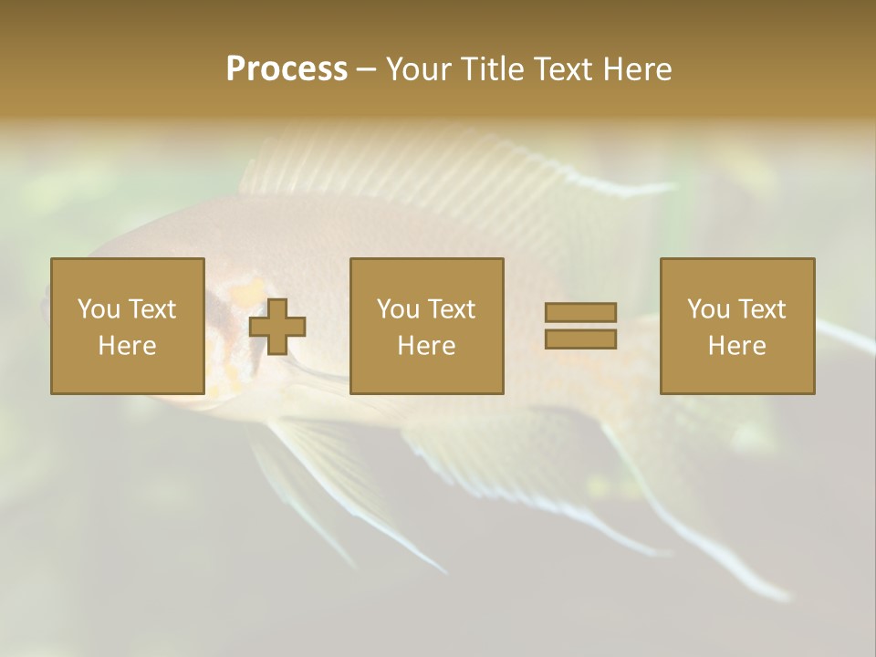 The Exotic Fish In Aquarium, Natural Lighting PowerPoint Template