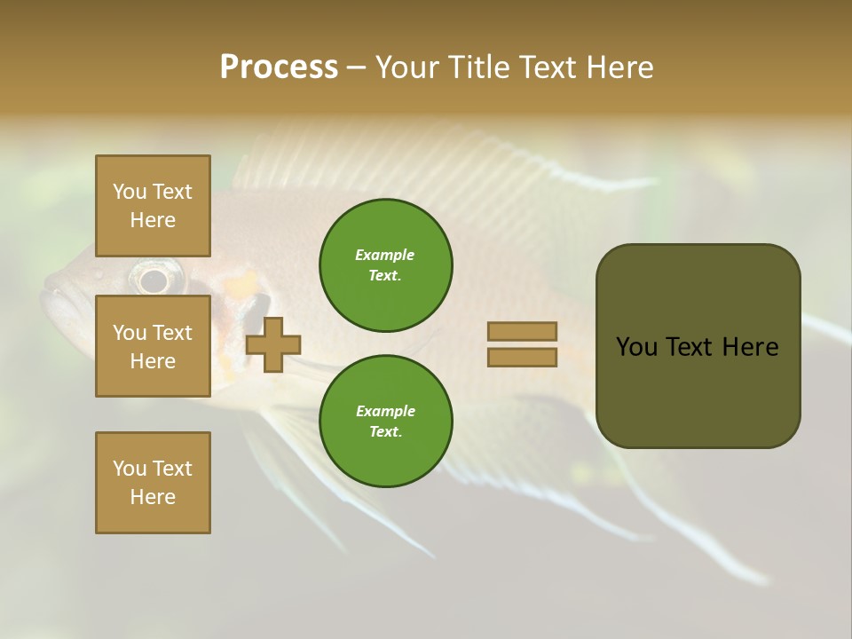 The Exotic Fish In Aquarium, Natural Lighting PowerPoint Template
