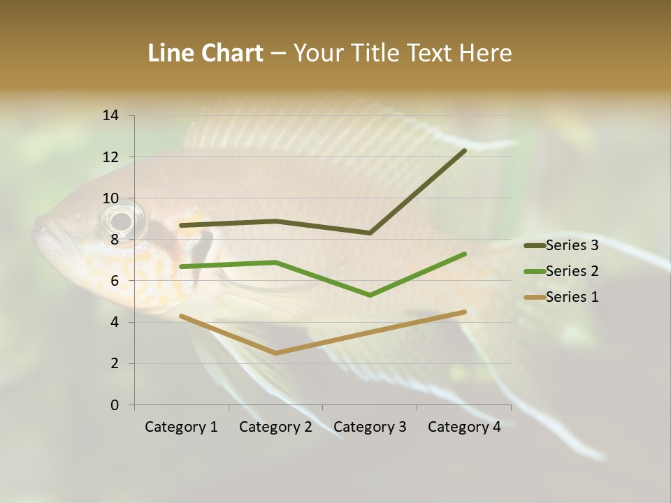 The Exotic Fish In Aquarium, Natural Lighting PowerPoint Template