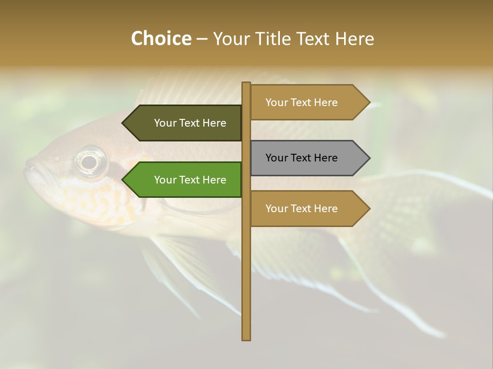 The Exotic Fish In Aquarium, Natural Lighting PowerPoint Template