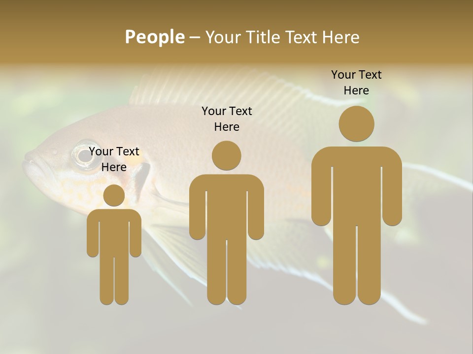 The Exotic Fish In Aquarium, Natural Lighting PowerPoint Template