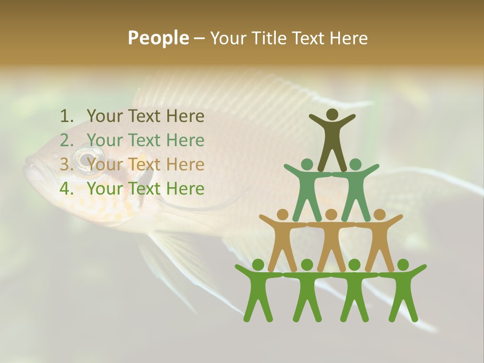 The Exotic Fish In Aquarium, Natural Lighting PowerPoint Template