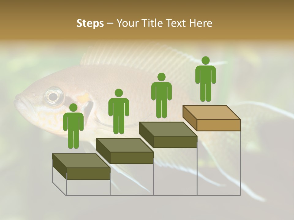 The Exotic Fish In Aquarium, Natural Lighting PowerPoint Template