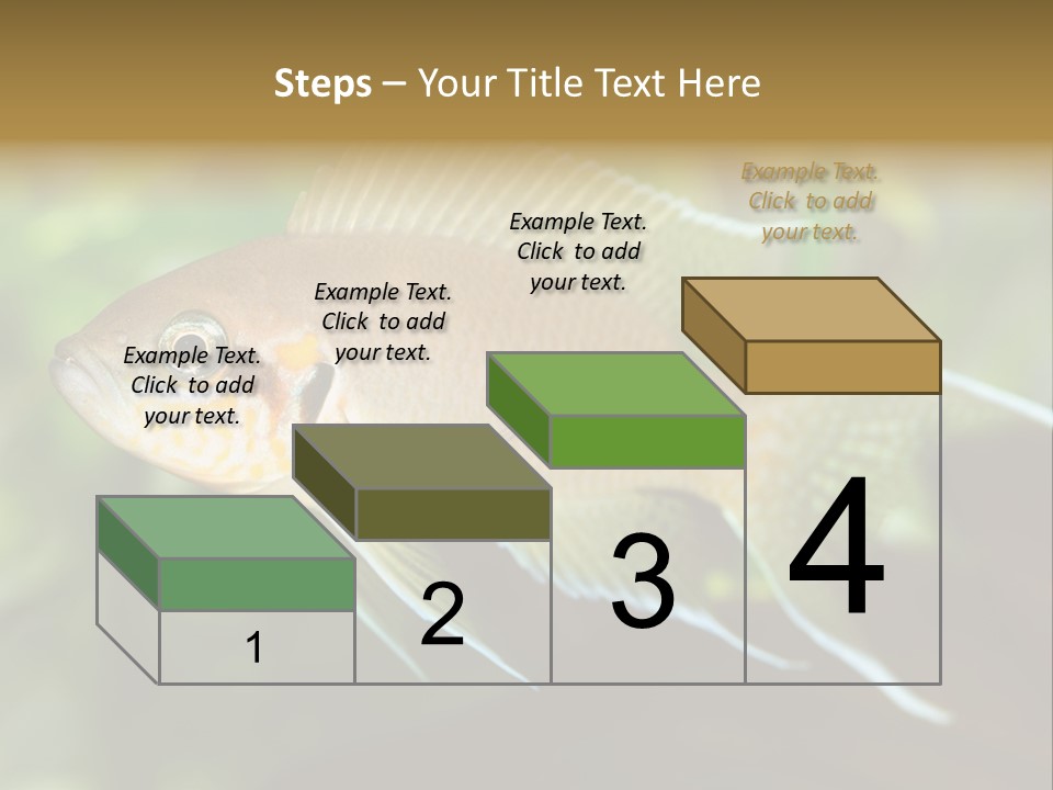 The Exotic Fish In Aquarium, Natural Lighting PowerPoint Template