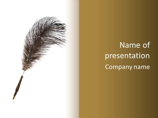 Feather Quill Isolated On White Background PowerPoint Template