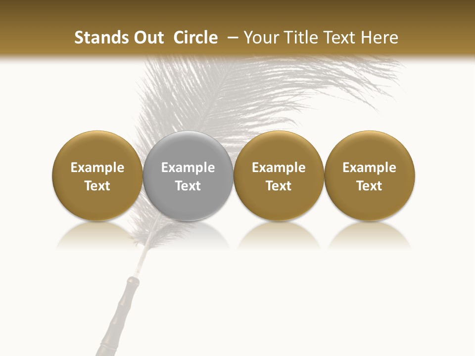 Feather Quill Isolated On White Background PowerPoint Template