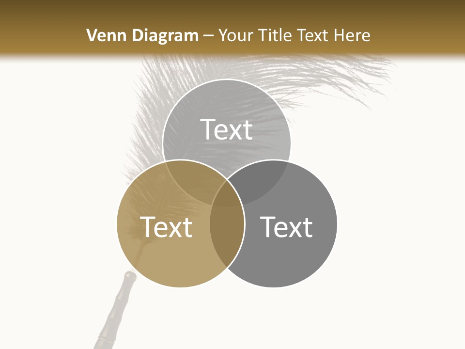 Feather Quill Isolated On White Background PowerPoint Template