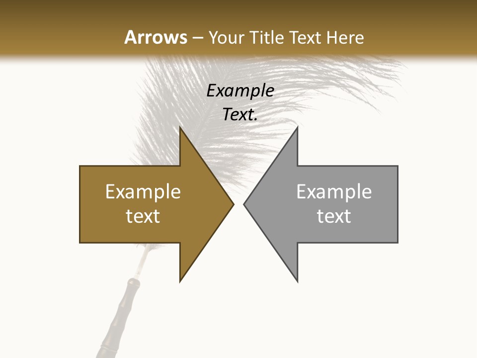 Feather Quill Isolated On White Background PowerPoint Template