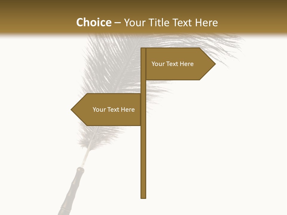Feather Quill Isolated On White Background PowerPoint Template