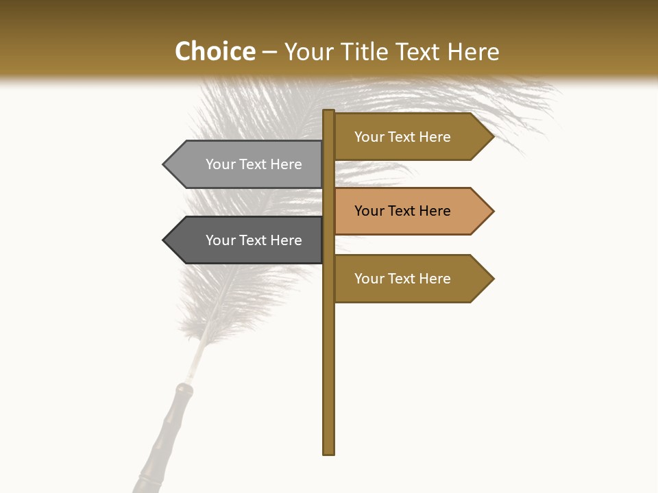 Feather Quill Isolated On White Background PowerPoint Template