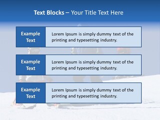 Happy Skiing Family PowerPoint Template