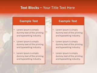 Poached Egg Breakfast With Blanched Spinach And Pine Nuts With Mushrooms And Shallots. PowerPoint Template