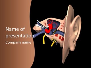 Ear PowerPoint Template