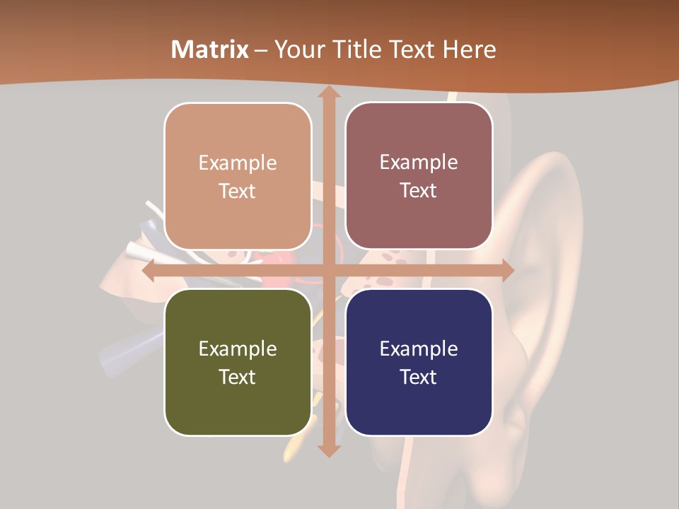 Ear PowerPoint Template