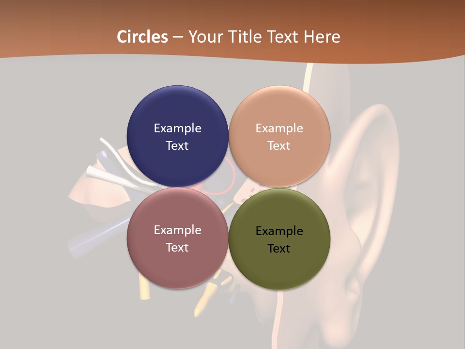Ear PowerPoint Template