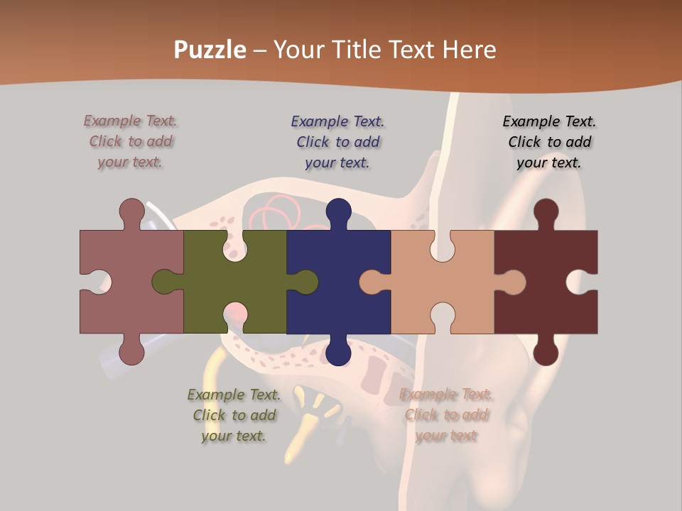 Ear PowerPoint Template