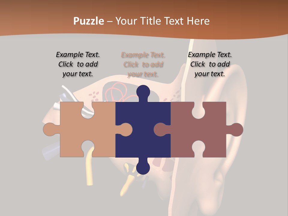 Ear PowerPoint Template