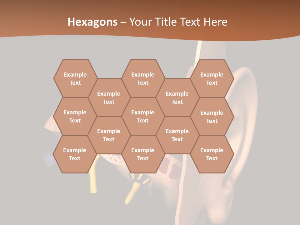 Ear PowerPoint Template