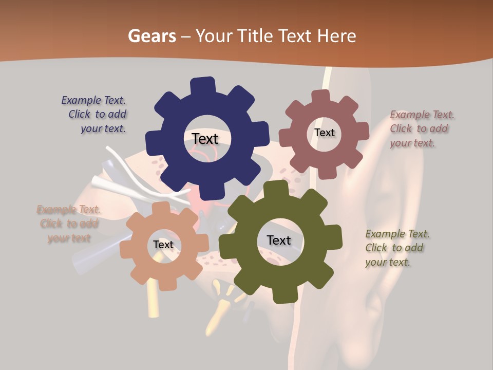 Ear PowerPoint Template