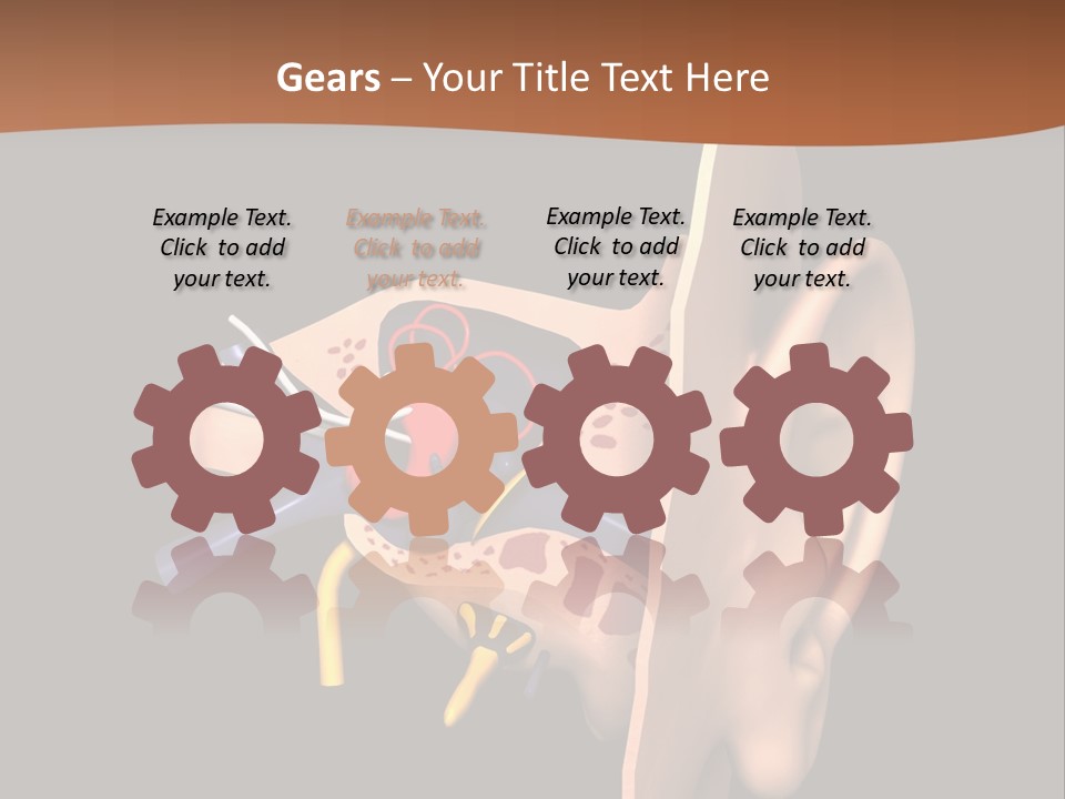 Ear PowerPoint Template