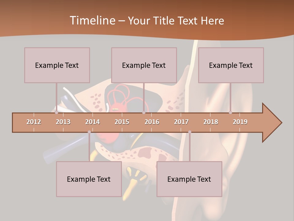 Ear PowerPoint Template