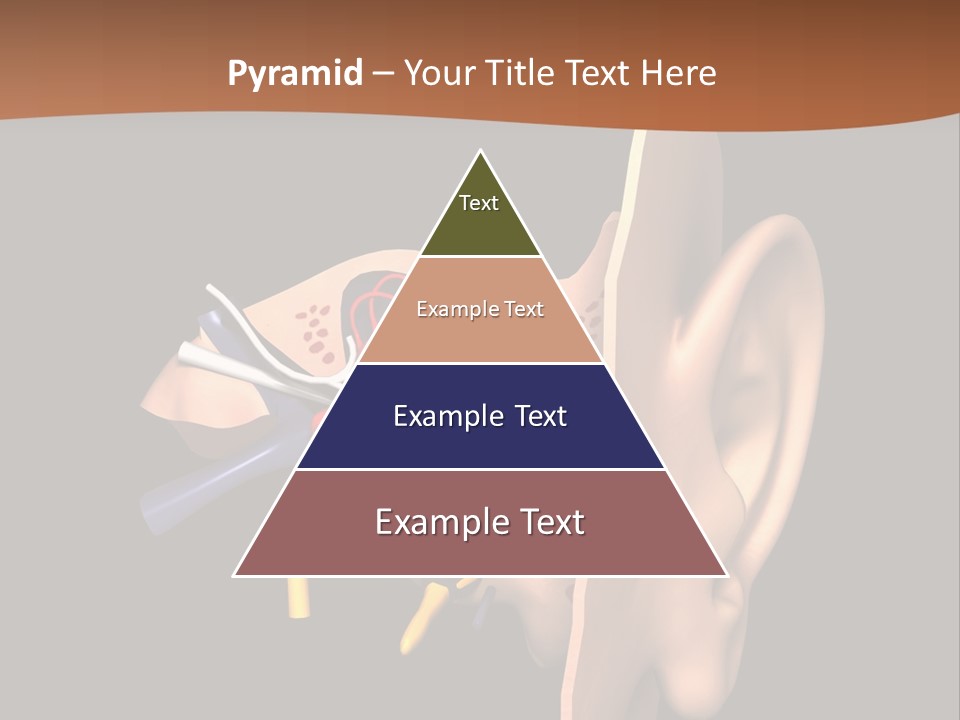 Ear PowerPoint Template