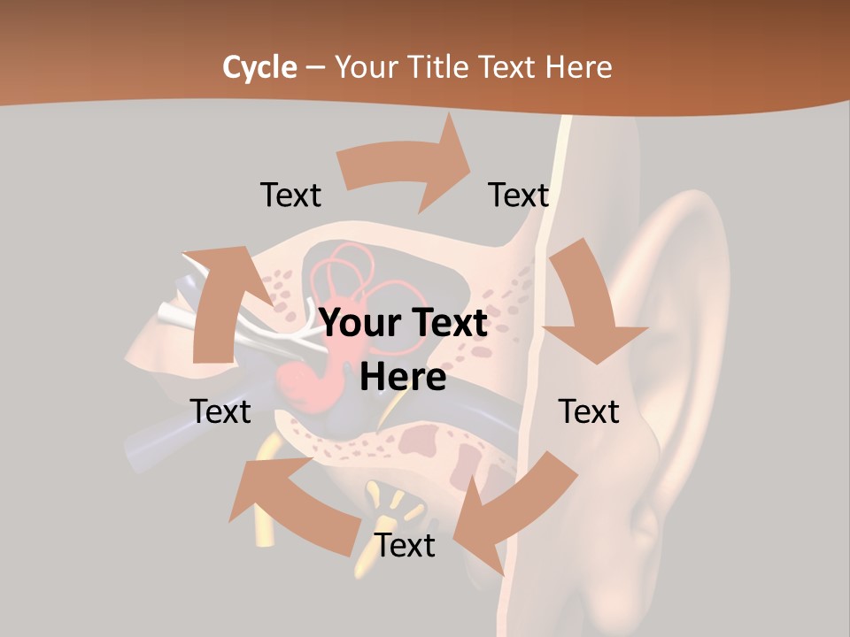 Ear PowerPoint Template