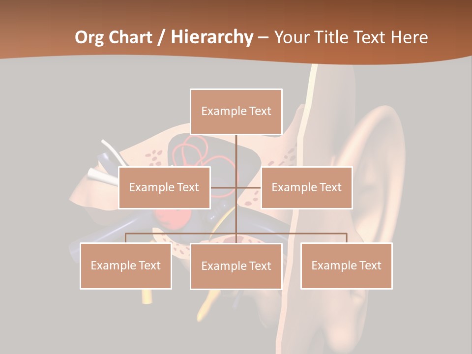 Ear PowerPoint Template