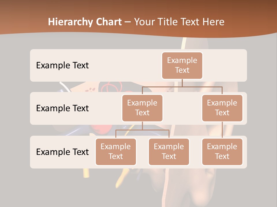 Ear PowerPoint Template