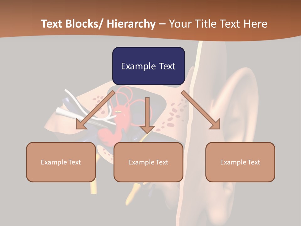 Ear PowerPoint Template