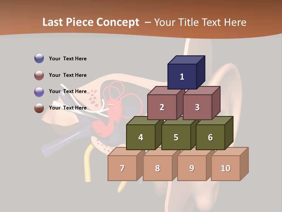 Ear PowerPoint Template