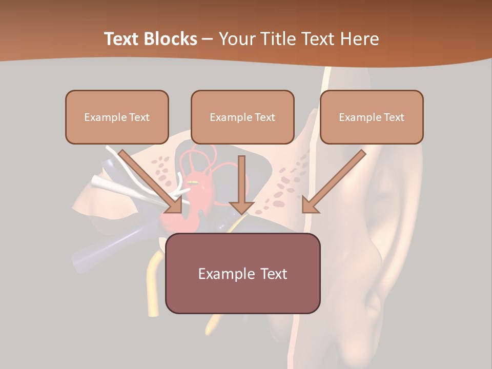 Ear PowerPoint Template