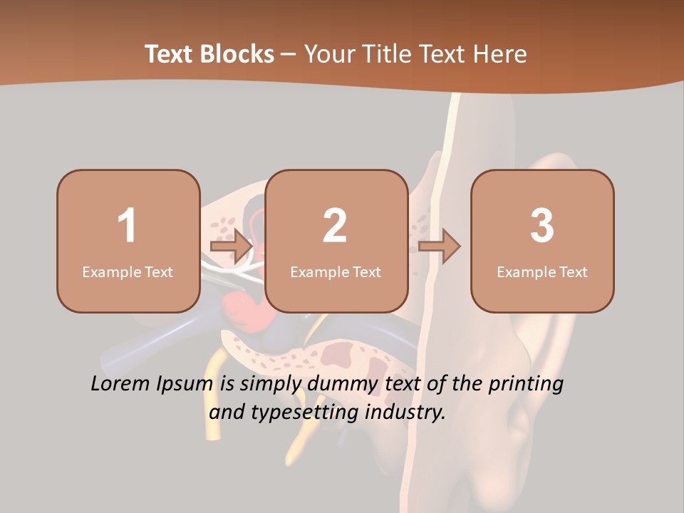 Ear PowerPoint Template