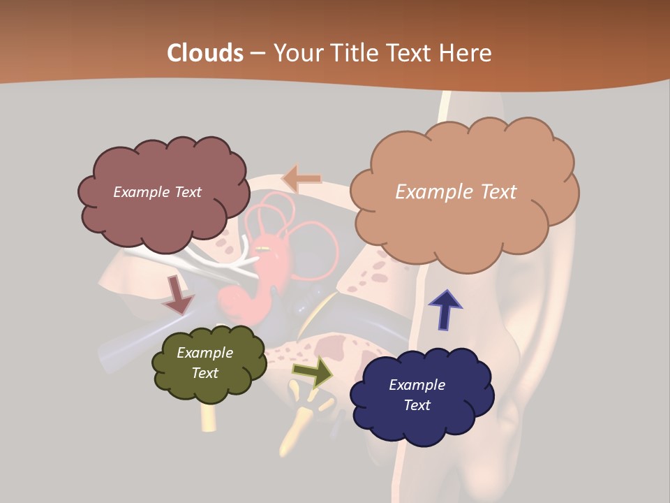 Ear PowerPoint Template