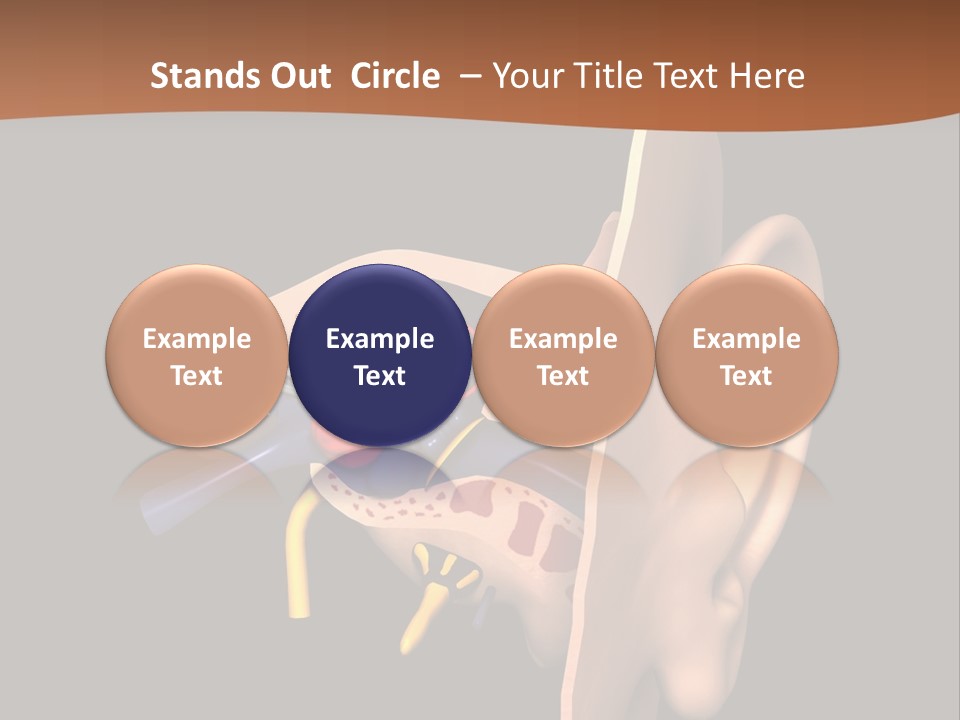 Ear PowerPoint Template