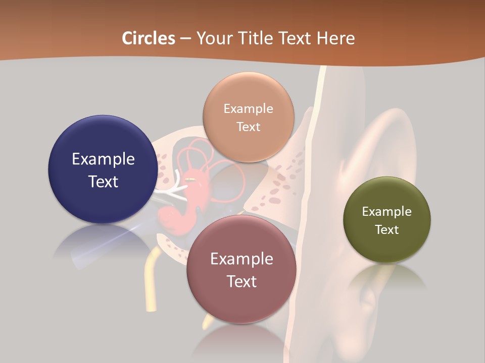 Ear PowerPoint Template