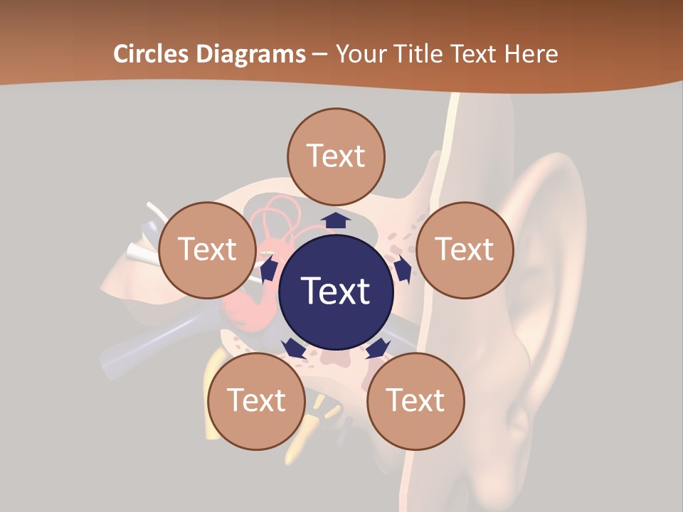 Ear PowerPoint Template