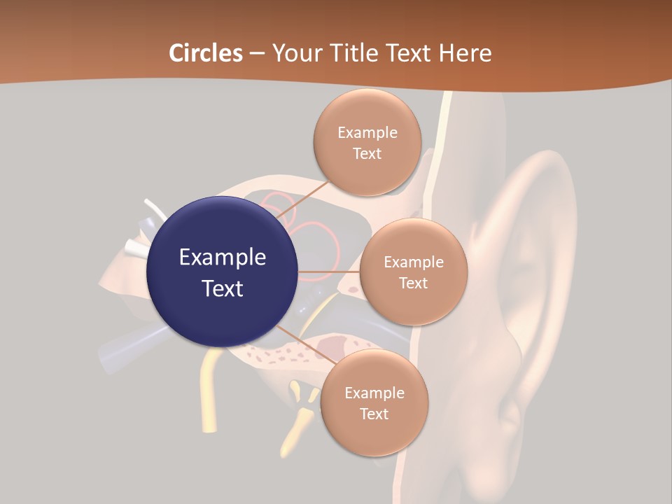 Ear PowerPoint Template
