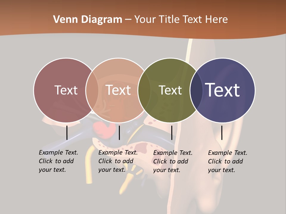 Ear PowerPoint Template