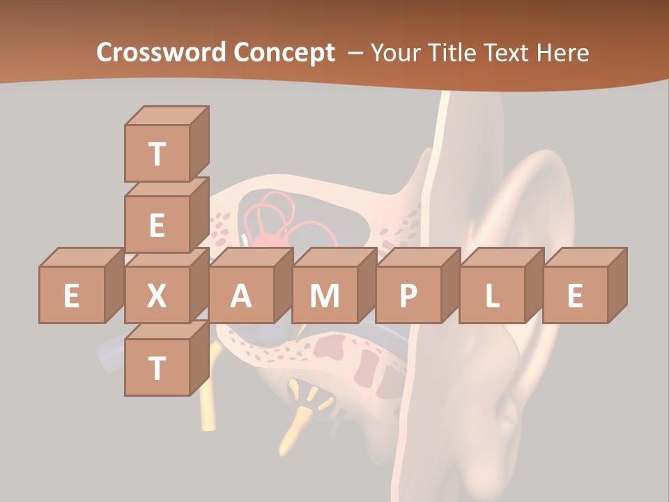 Ear PowerPoint Template