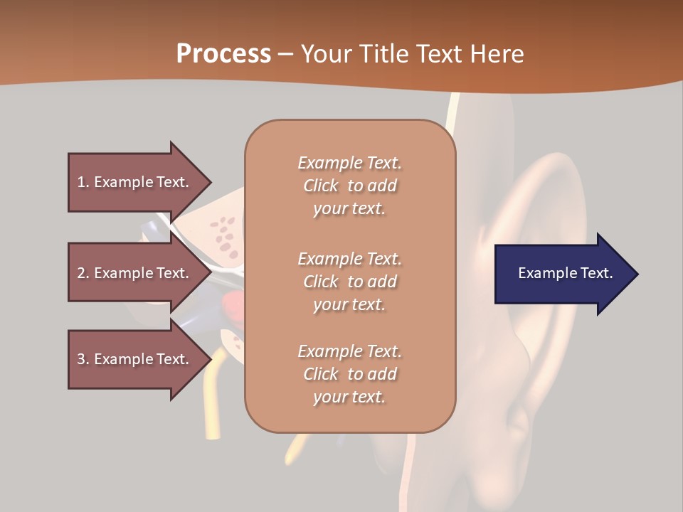 Ear PowerPoint Template