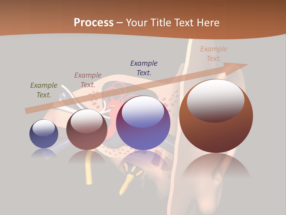 Ear PowerPoint Template