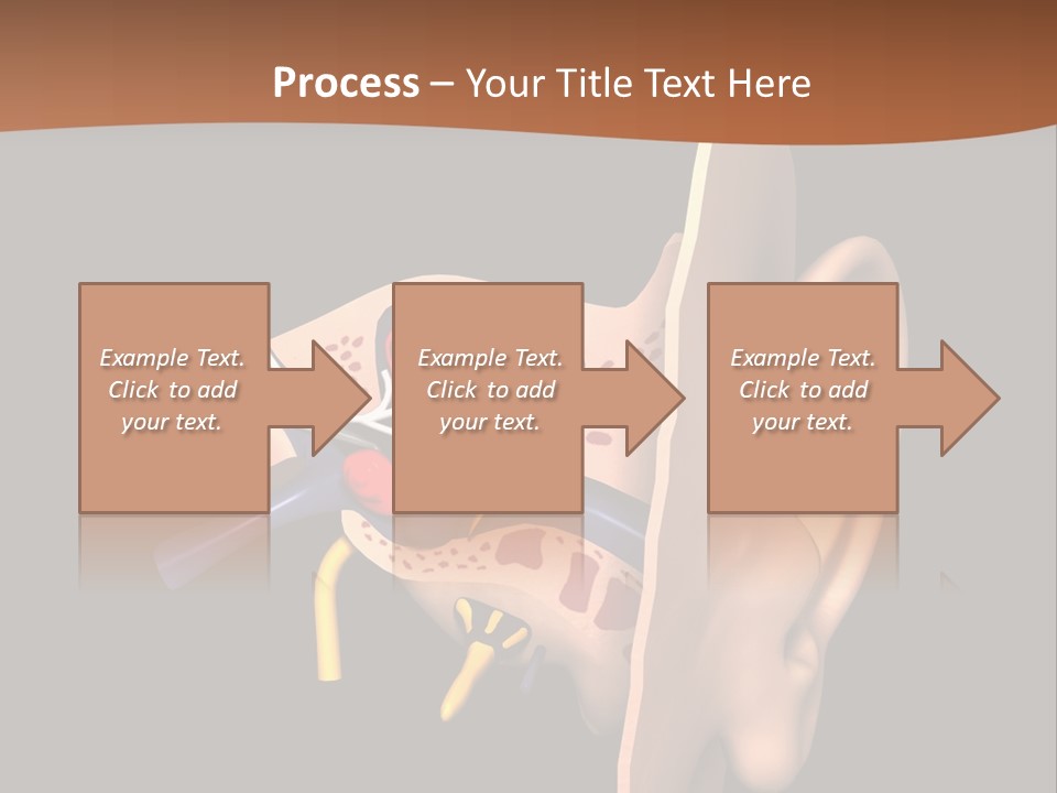 Ear PowerPoint Template