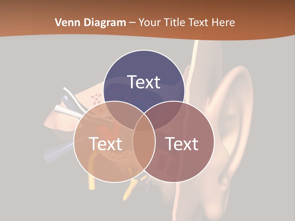 Ear PowerPoint Template