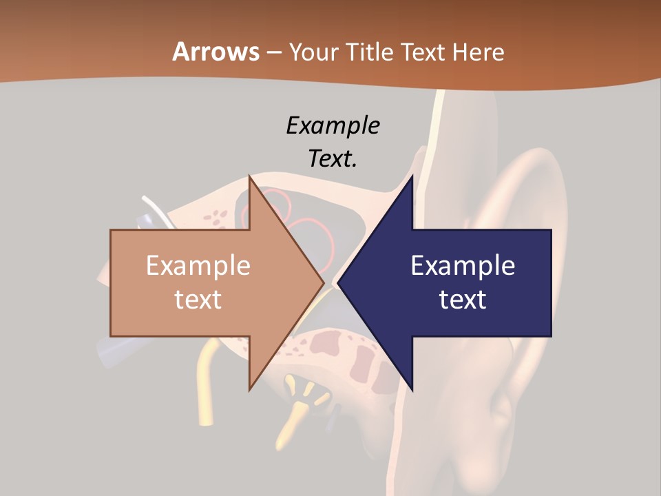 Ear PowerPoint Template