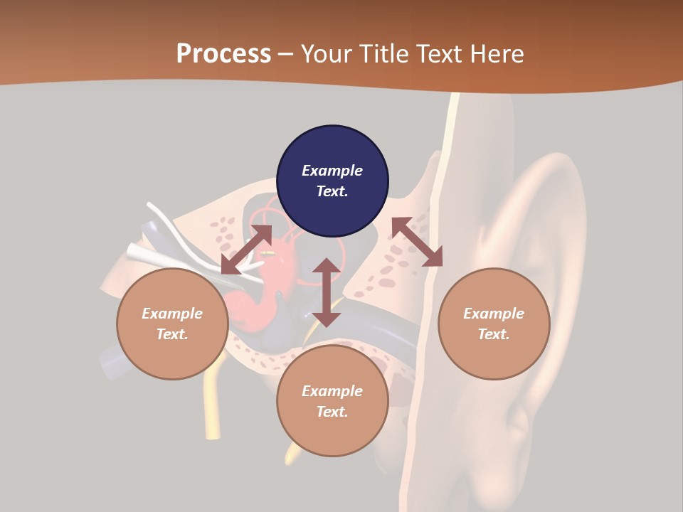 Ear PowerPoint Template
